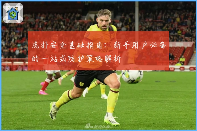 虎扑安全基础指南:新手用户必备的一站式防护策略解析