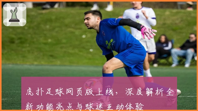 虎扑足球网页版上线，深度解析全新功能亮点与球迷互动体验